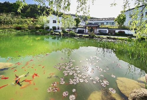 九華山五溪山色魚池.jpg