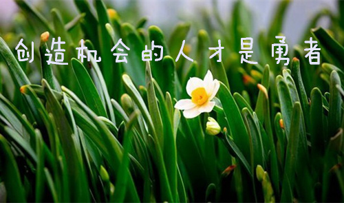 創造機會的人才是真正的勇者
