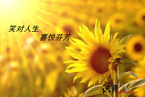 timg_副本.jpg