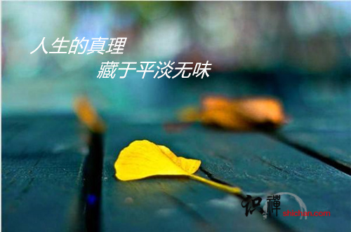 人生的真理藏于平淡無(wú)味