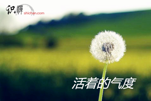 timg_副本.jpg