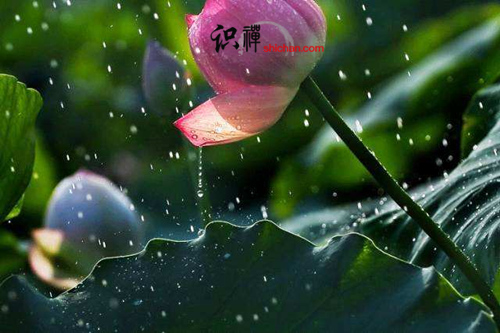 莫要因小失大 蠅頭小利千萬不要沾
