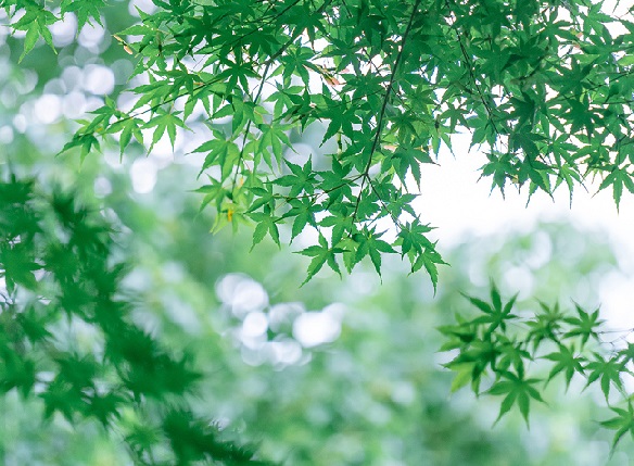 君子坦蕩蕩，小人長戚戚